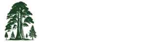 test-logo3